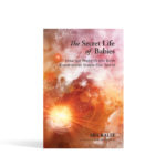The Secret Life of Babies: How Our Prebirth and Birth Experiences Shape Our World (Paperback)