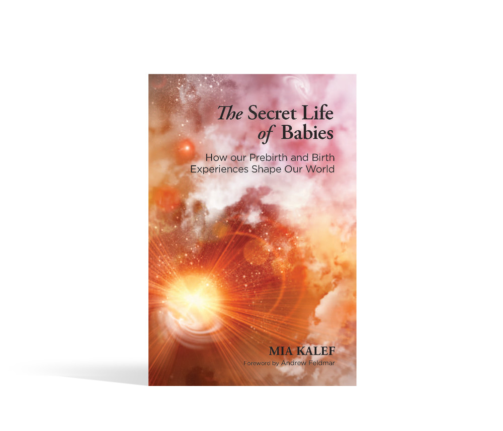Secret Life of Babies Book Cover