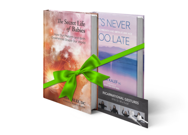 Anniversary Bundle Two
